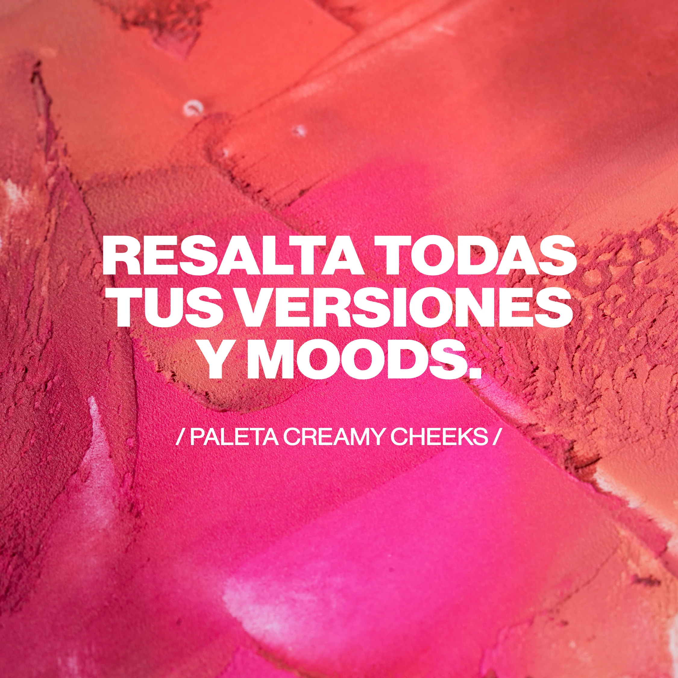 Imagen del producto 24