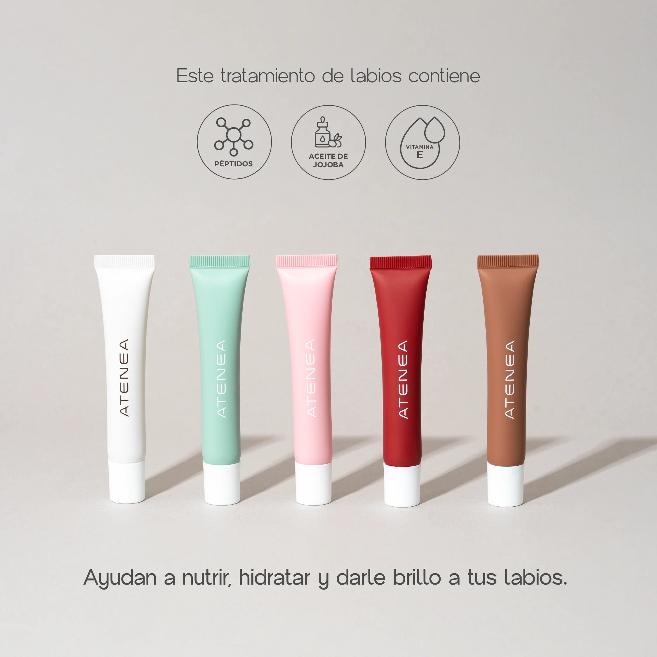 Imagen del producto 5